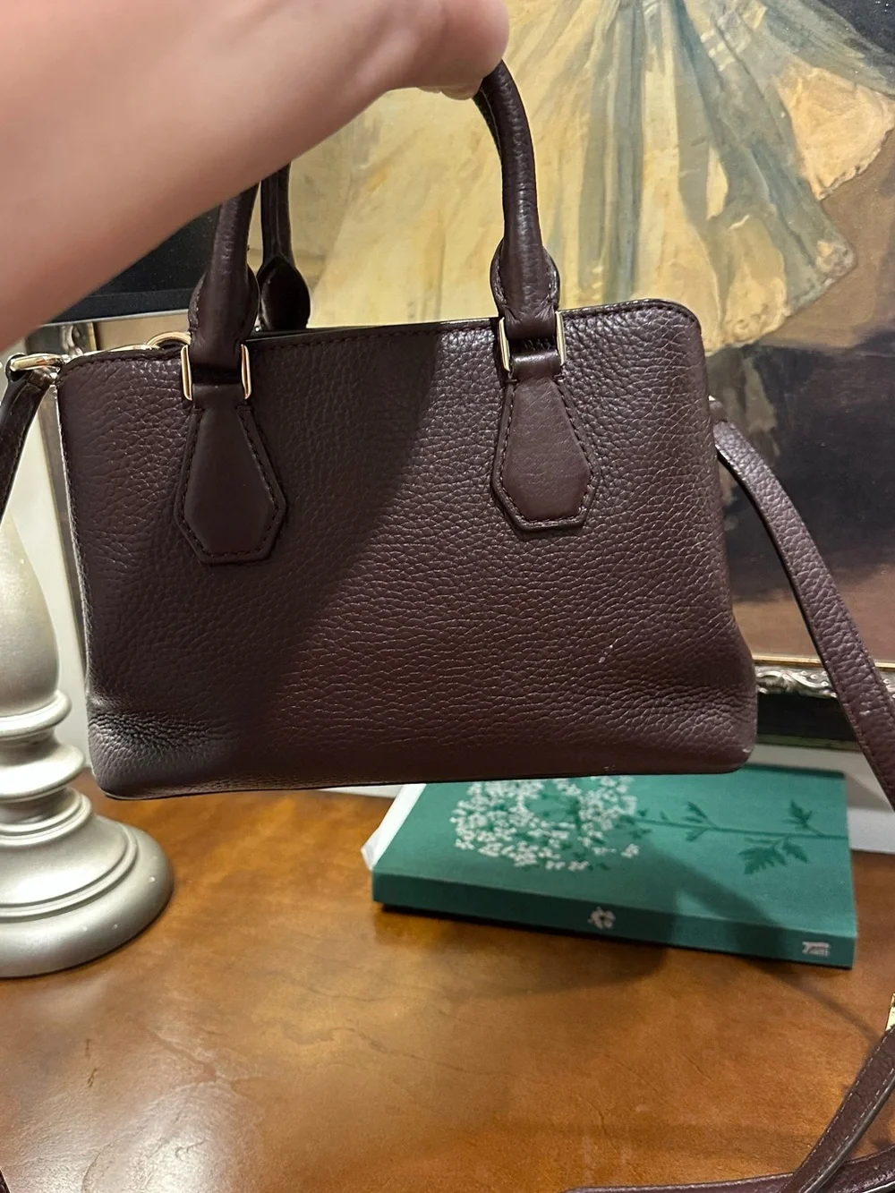 MICHAEL KORS Camille Small Leather Satchel BAROLO